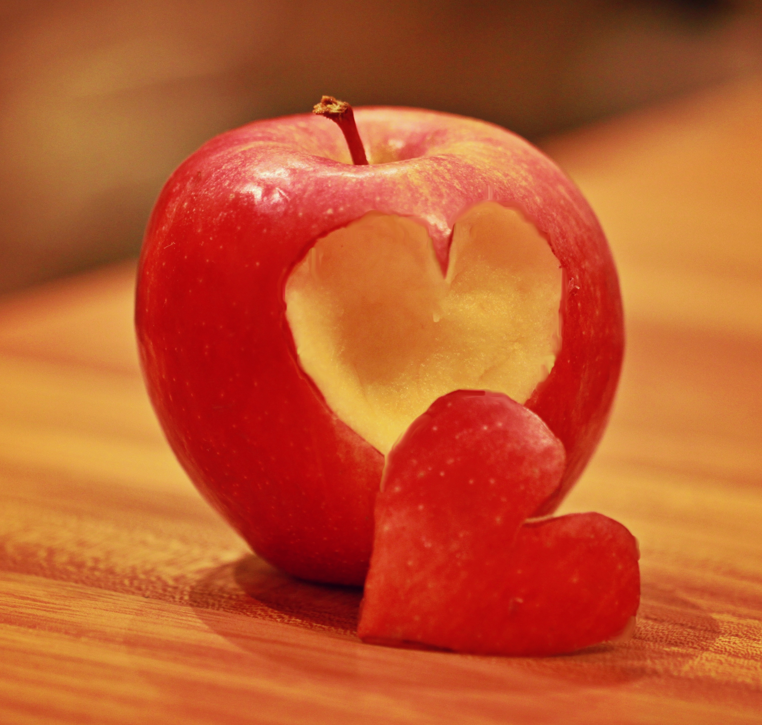 Zu der Homepage "Gesunde und nachhaltige Ernährung für Kinder"